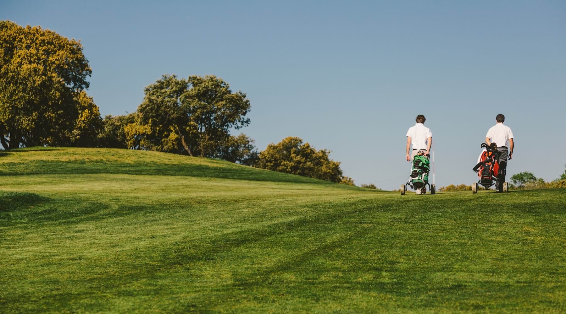 a couple of men walking on a grassy hill with trees and blue sky